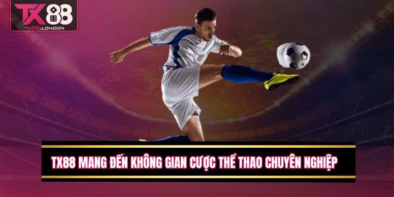 Kèo Rung Là Gì? Bật Mí 5 Tips Bắt kèo Hiệu Quả Ngay Lần Đầu