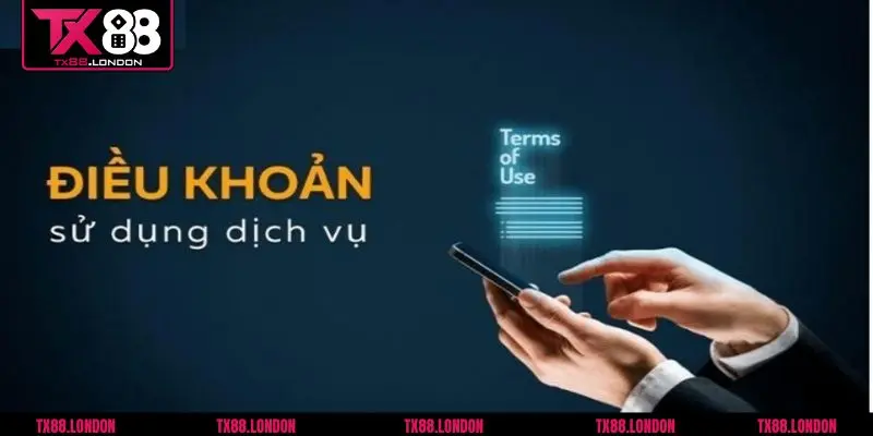 Một số thông tin quan trọng có trong điều khoản và điều kiện