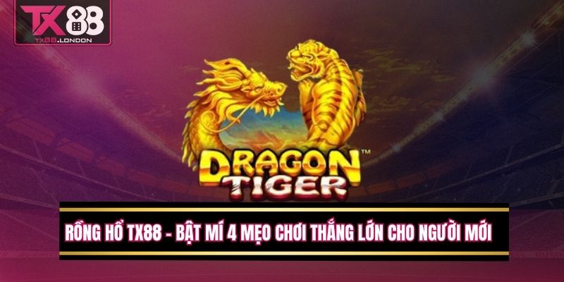 Rồng Hổ TX88 - Bật Mí 4 Mẹo Chơi Thắng Lớn Cho Người Mới