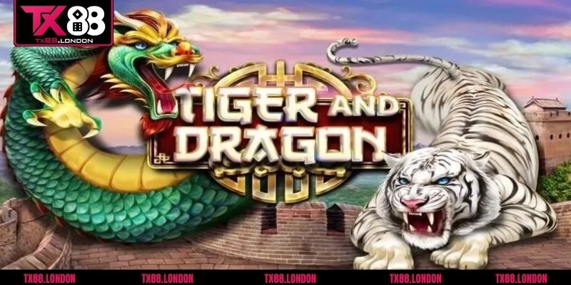 Hướng dẫn cách chơi Rồng Hổ từ A đến Z cho người mới