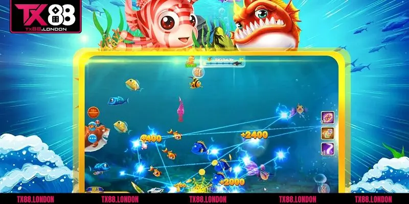 Theo dõi cách cá di chuyển để tăng hiệu quả bắn